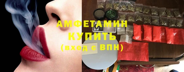 хмурый Осинники