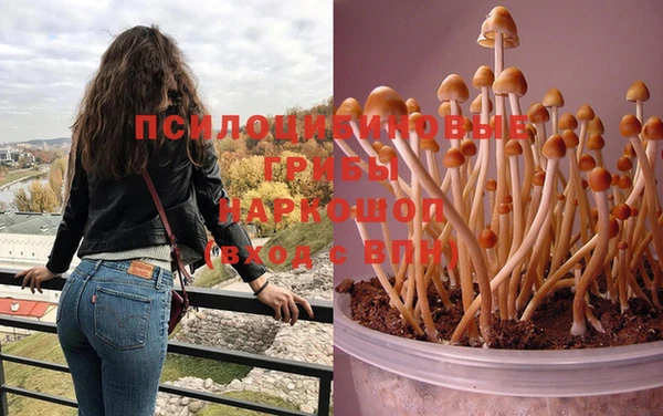 соль курить ск Няндома
