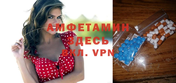 хмурый Осинники