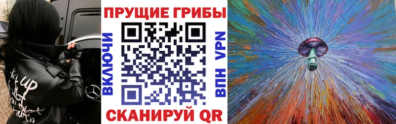 продажа наркотиков  Санкт-Петербург  Псилоцибиновые грибы мицелий 