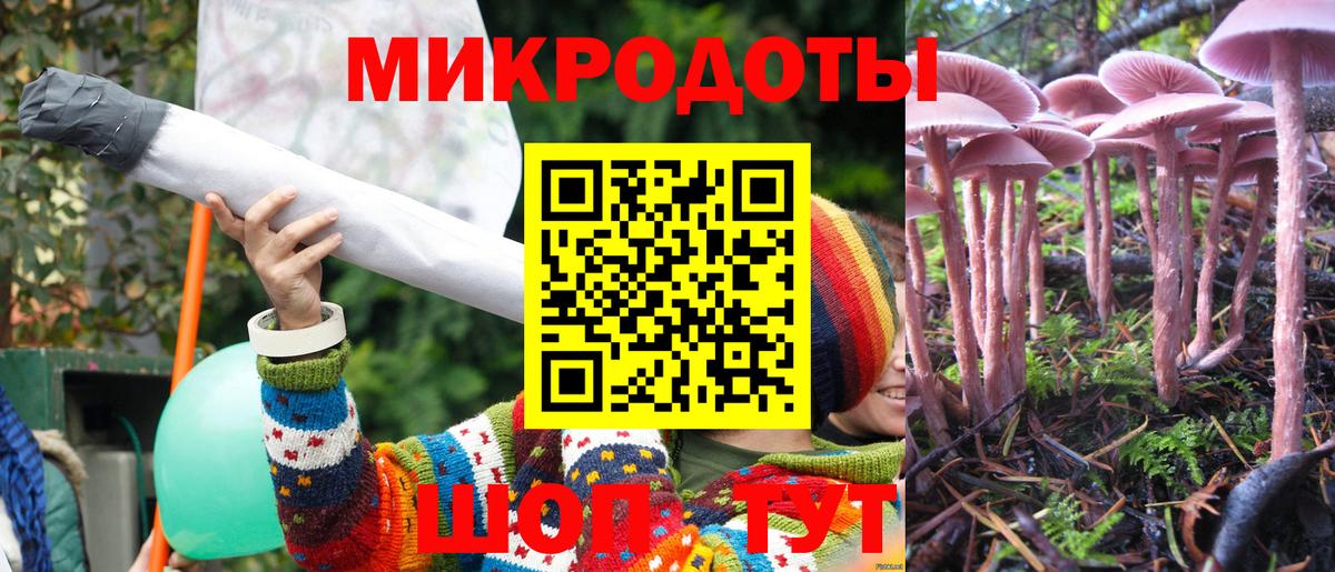 Галлюциногенные грибы MAGIC MUSHROOMS  Санкт-Петербург  Галлюциногенные грибы Cubensis 